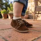 SP Oxford Chocolate